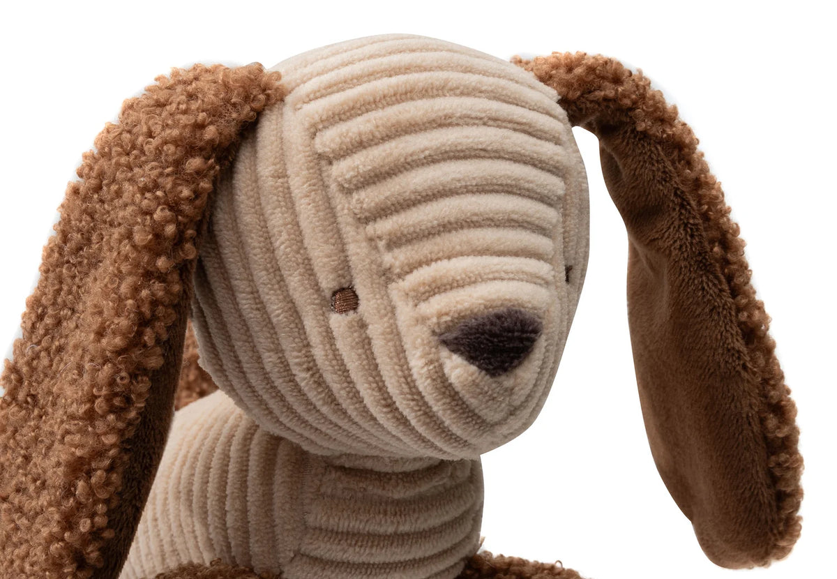 Kinderwagen- Anhänger Hund