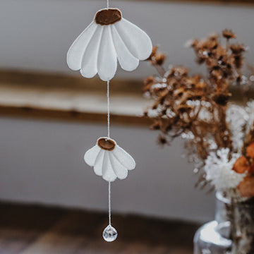 Gänseblümchen Sonnenfänger