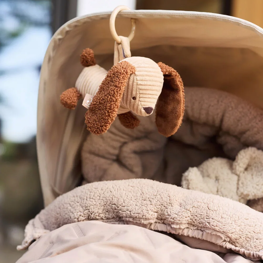 Kinderwagen-_Anhänger_Hund